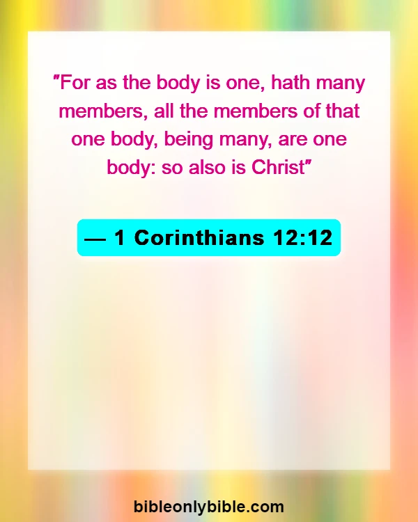 Bible Verses About Division (1 Corinthians 12:12)