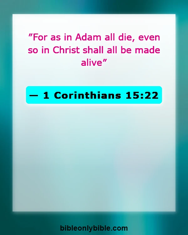 Bible Verses About Respect For Human Life (1 Corinthians 15:22)
