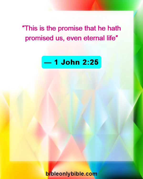 Bible Verses About Celebrating Life After Death (1 John 2:25)