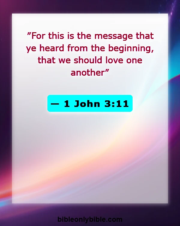 Bible Verses About Brotherlys (1 John 3:11)