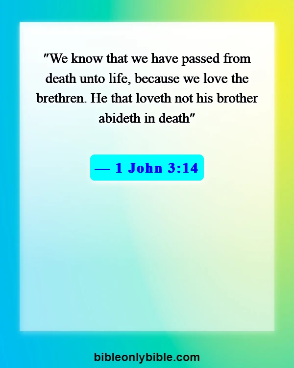 Bible Verses About Assurance Of Salvation (1 John 3:14)