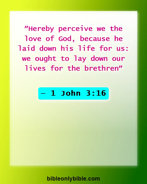 Bible Verses About Putting Others First (1 John 3:16)