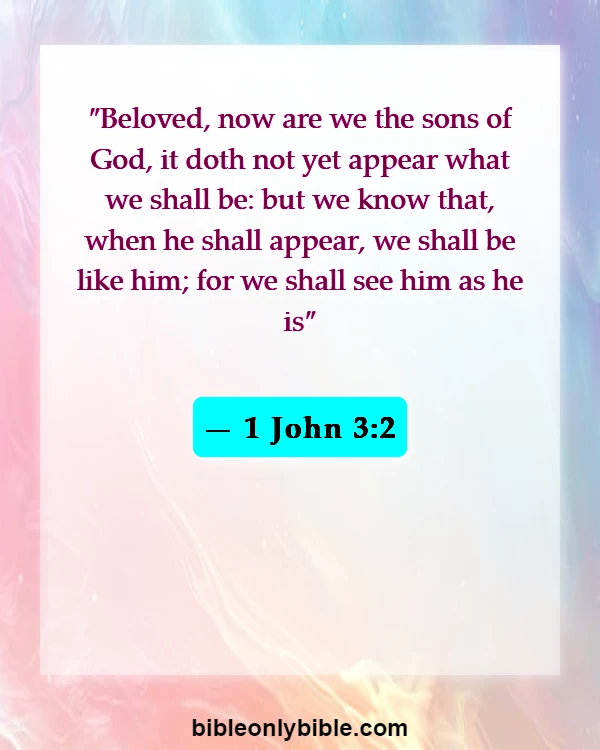 Bible Verses About Husband And Wife Reunited In Heaven (1 John 3:2)