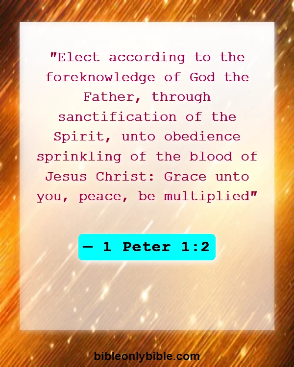 Bible Verses About Trinity (1 Peter 1:2)
