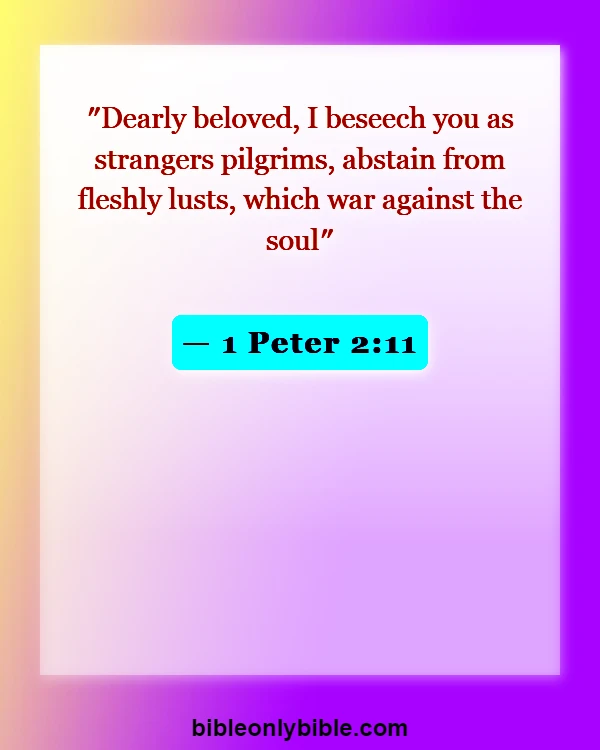 Bible Verses About Weed (1 Peter 2:11)