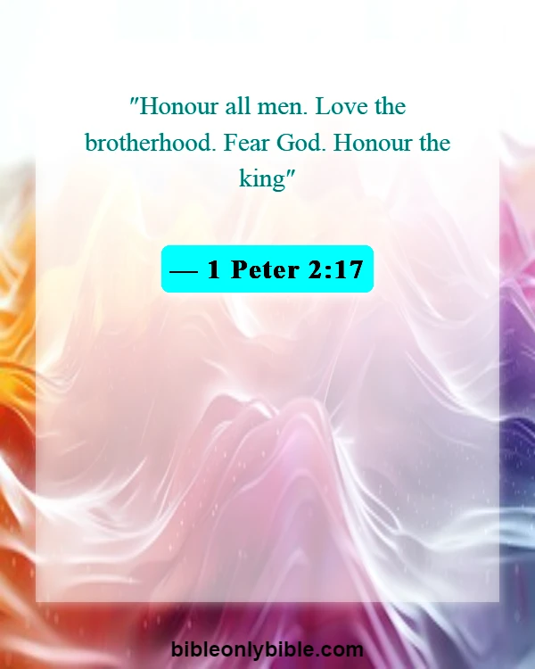 Bible Verses About Respect For Human Life (1 Peter 2:17)