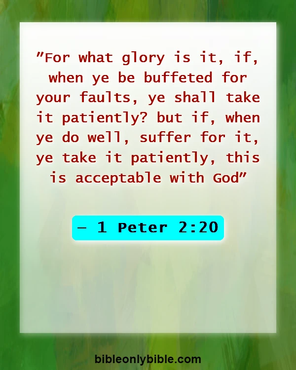 Bible Verses About Waiting Patiently (1 Peter 2:20)