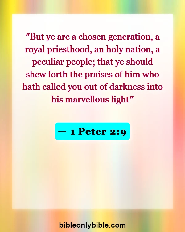 Bible Verses About Set Apart From The World (1 Peter 2:9)