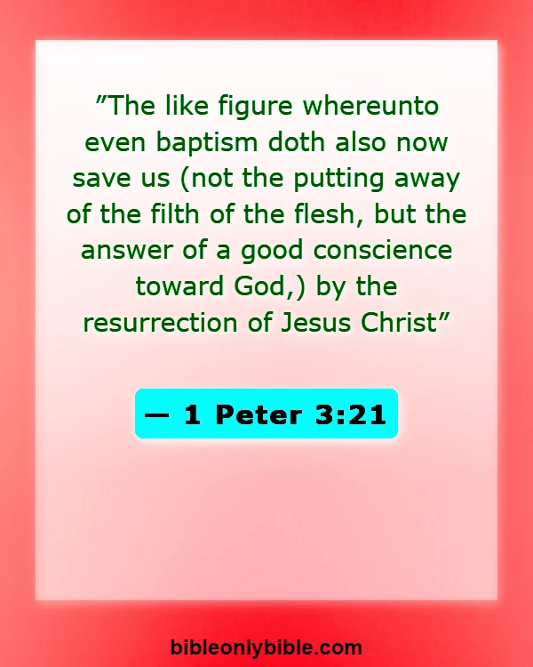 Bible Verses About Sacrament Of Baptism (1 Peter 3:21)