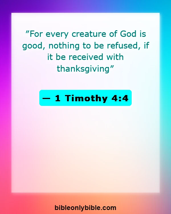 Bible Verses About Thankful Blessed Sunday (1 Timothy 4:4)