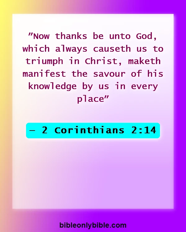 Bible Verses About Appreciation And Gratitude To Others (2 Corinthians 2:14)