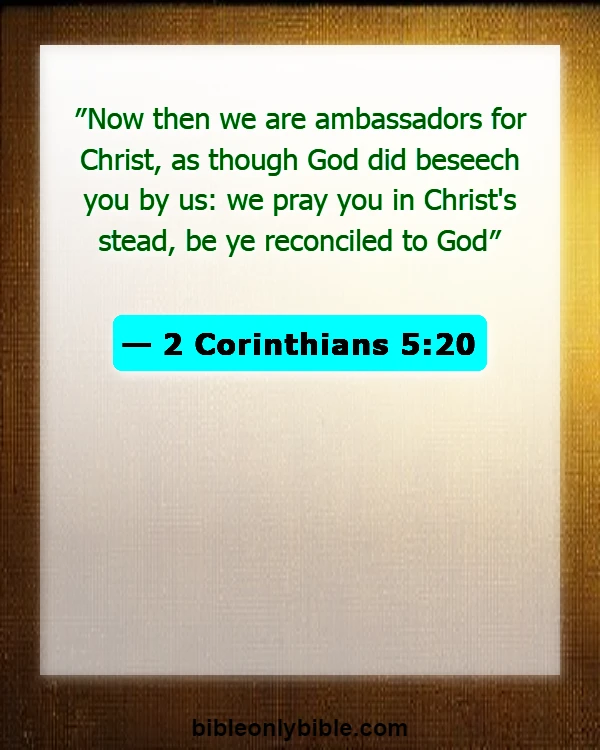 Bible Verses About Mission And Vision (2 Corinthians 5:20)