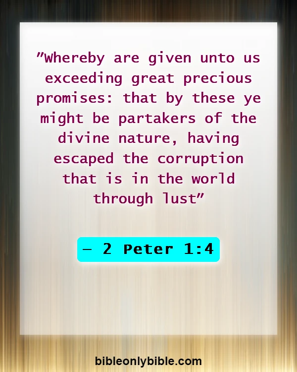Bible Verses About Excitement (2 Peter 1:4)