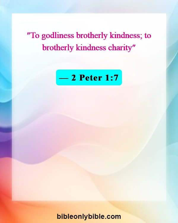 Bible Verses About Brotherlys (2 Peter 1:7)