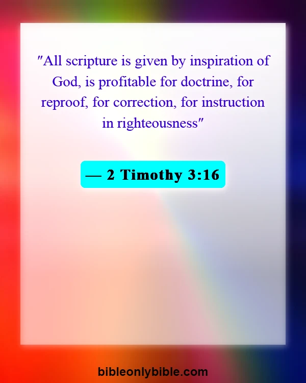 Bible Verses About Mission And Vision (2 Timothy 3:16)