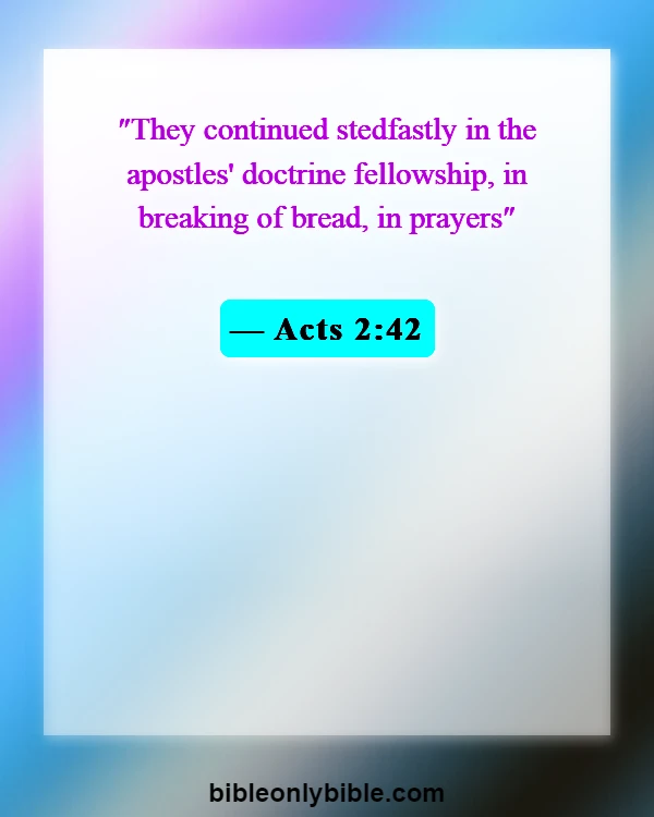 Bible Verses About Spiritual Training (Acts 2:42)
