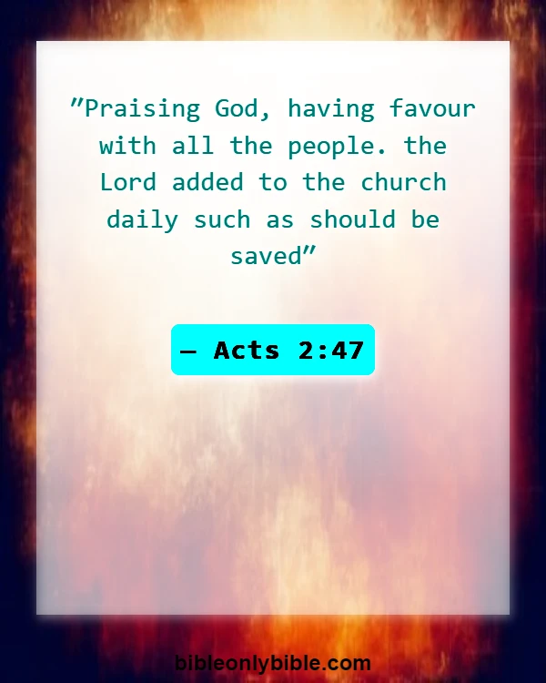 Bible Verses About Curses And Blessings (Acts 2:47)