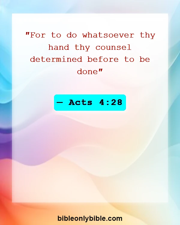 Bible Verses About Predestineds (Acts 4:28)