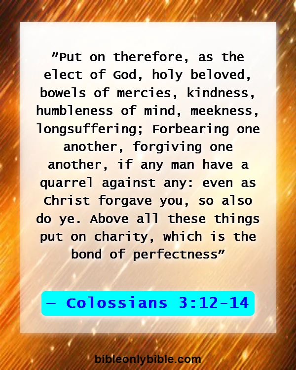 Bible Verses About Cheating And Lying (Colossians 3:12-14)