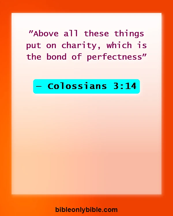 Bible Verses About Division (Colossians 3:14)