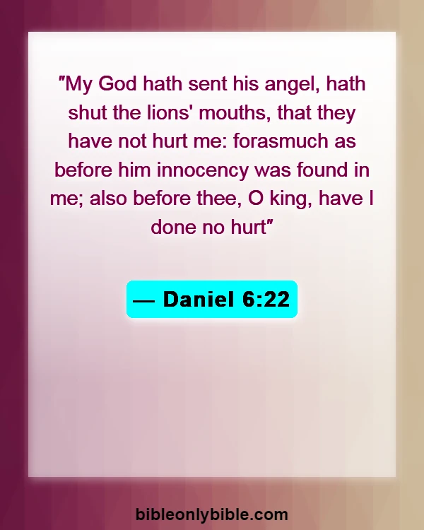 Bible Verses About Actions And Consequences (Daniel 6:22)