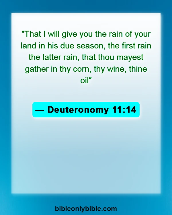 Bible Verses About Fall (Deuteronomy 11:14)