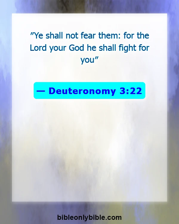 Bible Verses About Warriors (Deuteronomy 3:22)