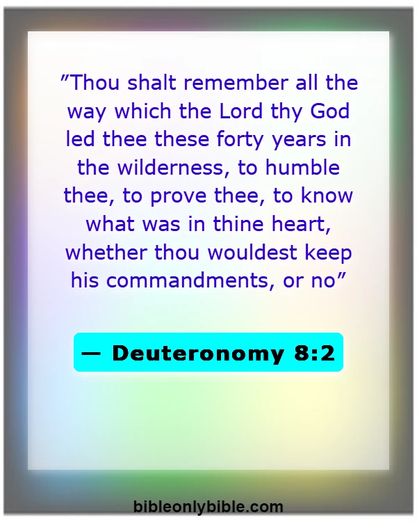 Bible Verses About God Testing Us (Deuteronomy 8:2)