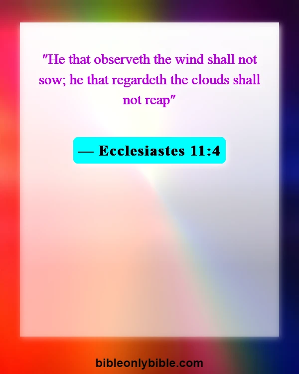 Bible Verses About Adventure (Ecclesiastes 11:4)