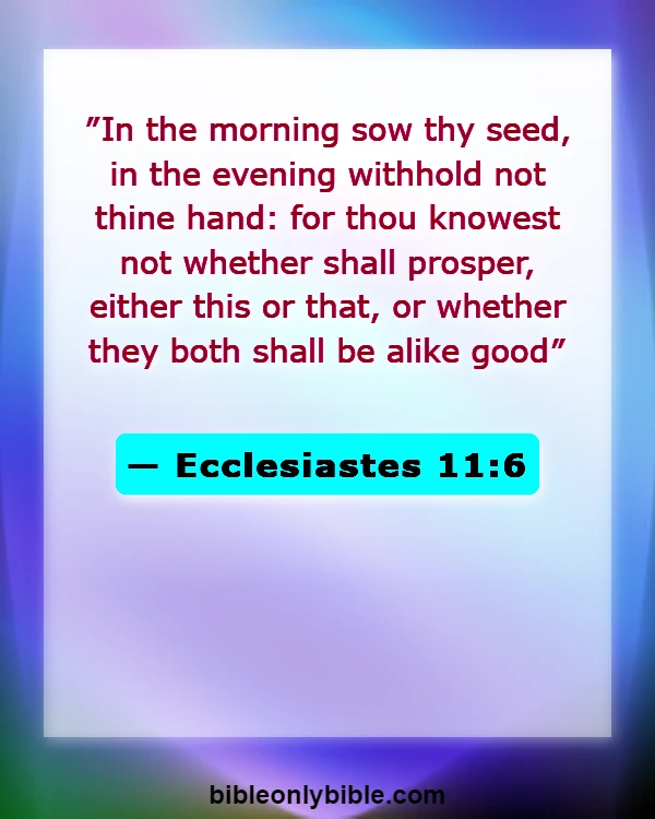 Bible Verses About Farming (Ecclesiastes 11:6)
