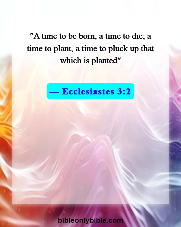 Bible Verses About Time For Everything (Ecclesiastes 3:2)