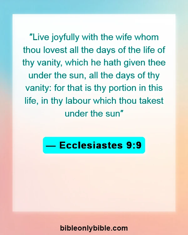 Bible Verses About Blessed Wedding Anniversarys (Ecclesiastes 9:9)
