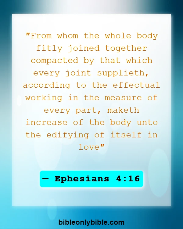 Bible Verses About Gifts And Talents (Ephesians 4:16)