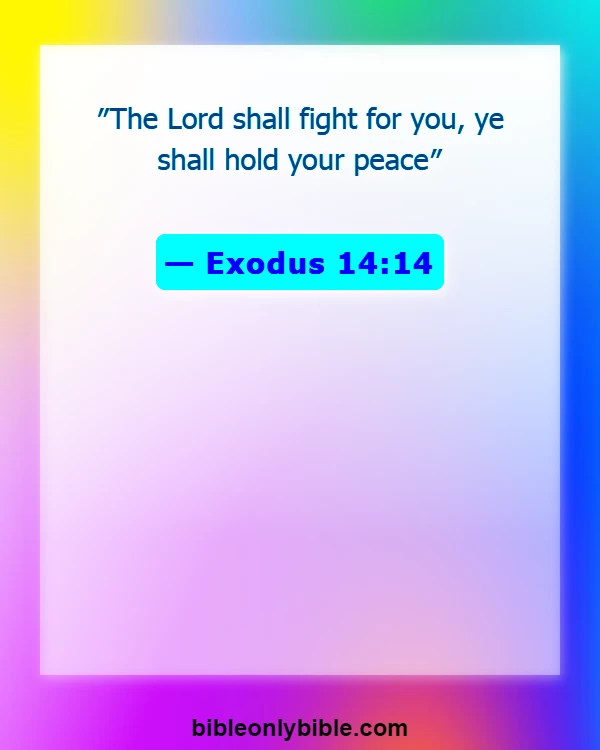 Bible Verses About Enemies Defeated (Exodus 14:14)