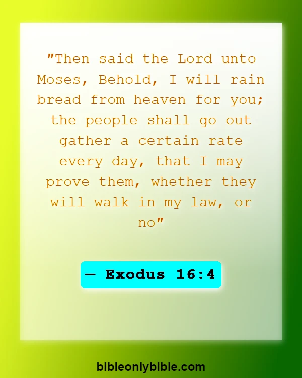 Bible Verses About God Testing Us (Exodus 16:4)