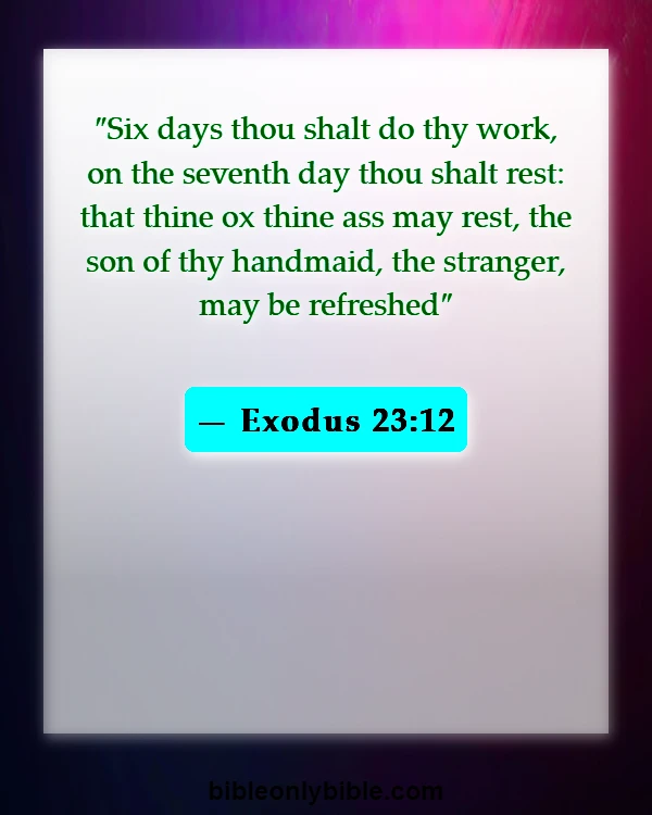 Bible Verses About Retirement (Exodus 23:12)