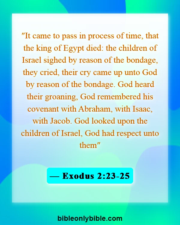 Bible Verses About Patience And God's Timing (Exodus 2:23-25)