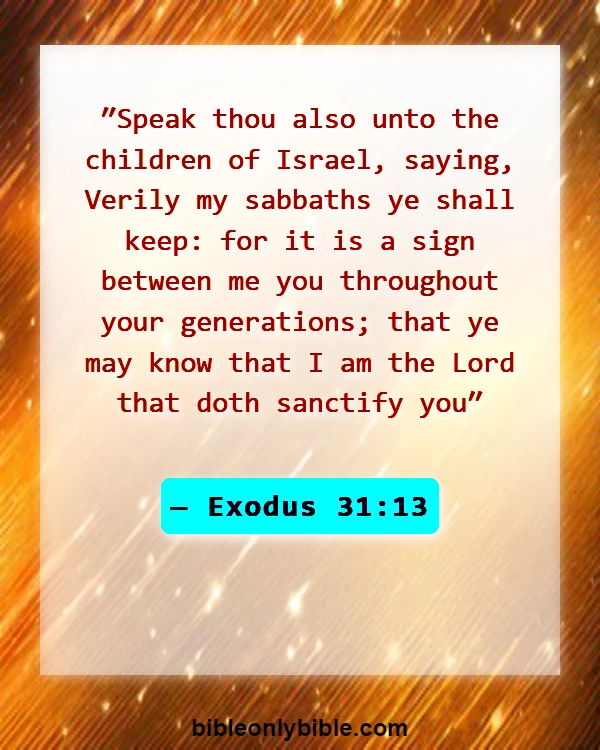 Bible Verses About Pursue Holiness (Exodus 31:13)