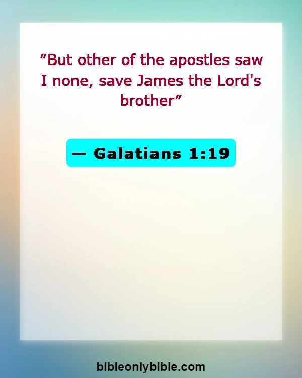 Bible Verses About Jesus Brothers And Sisters (Galatians 1:19)