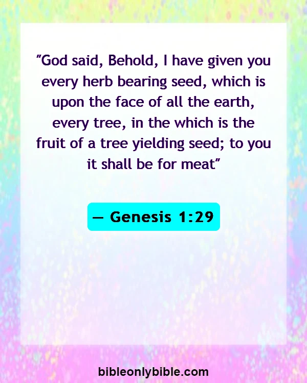 Bible Verses About Weed (Genesis 1:29)
