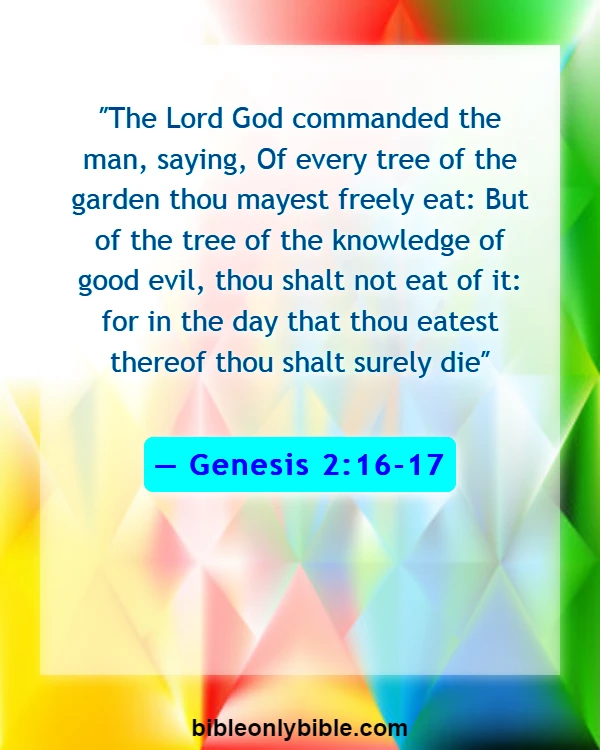 Bible Verses About God Does Not Force Himself On Anyone (Genesis 2:16-17)