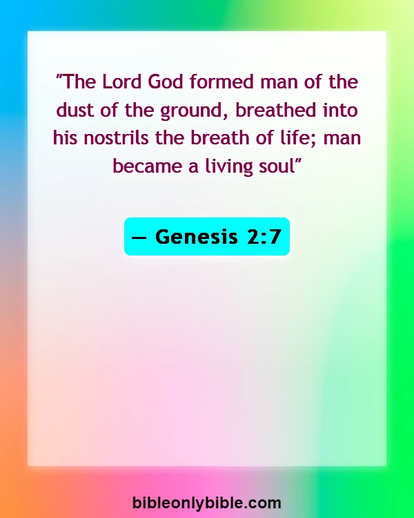 Bible Verses About Life Begins At The First Breath (Genesis 2:7)