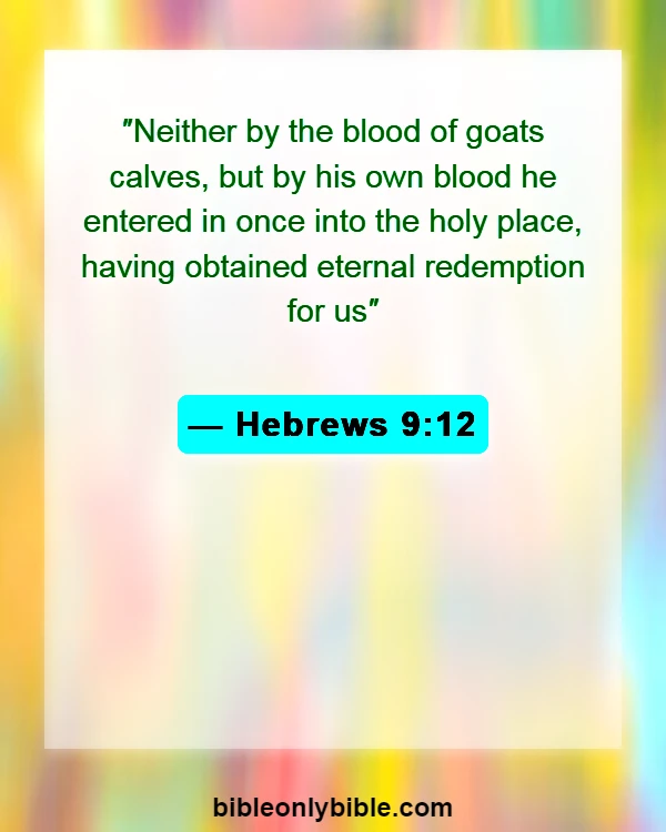 Bible Verses About Cross (Hebrews 9:12)