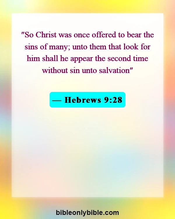 Bible Verses About Cross (Hebrews 9:28)