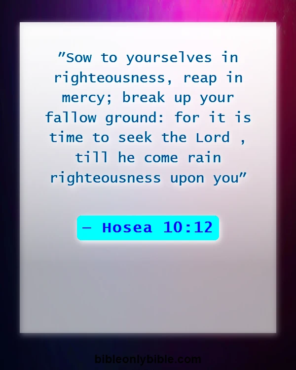 Bible Verses About Actions And Consequences (Hosea 10:12)