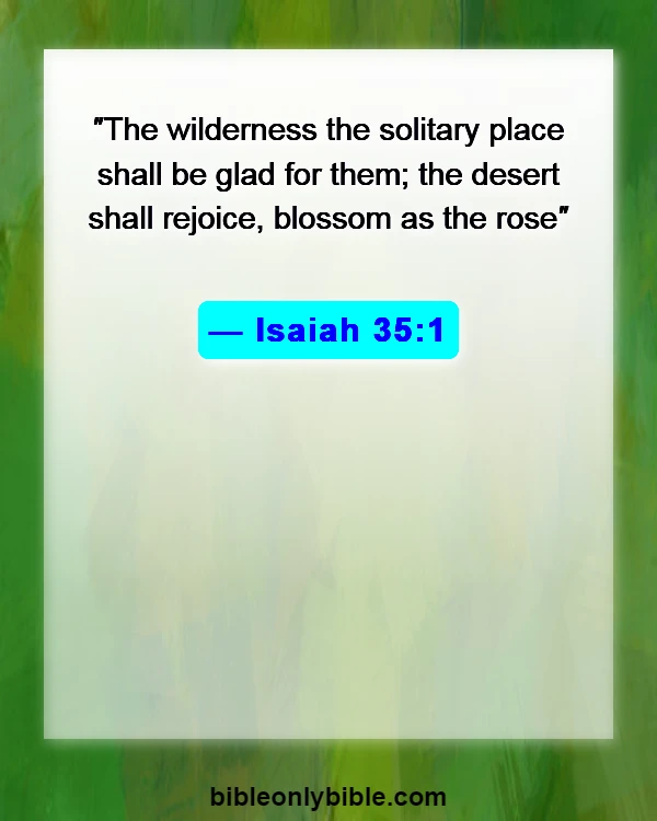 Bible Verses About Flowers Blooming (Isaiah 35:1)