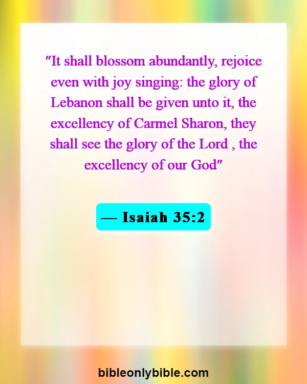 Bible Verses About Flowers Blooming (Isaiah 35:2)