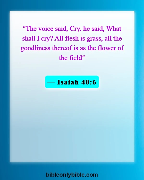 Bible Verses About Flowers Blooming (Isaiah 40:6)