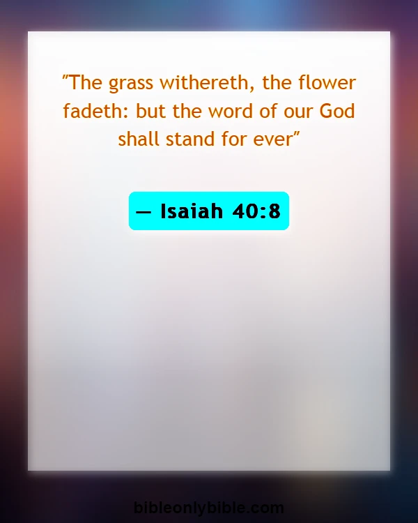 Bible Verses About Flowers Blooming (Isaiah 40:8)