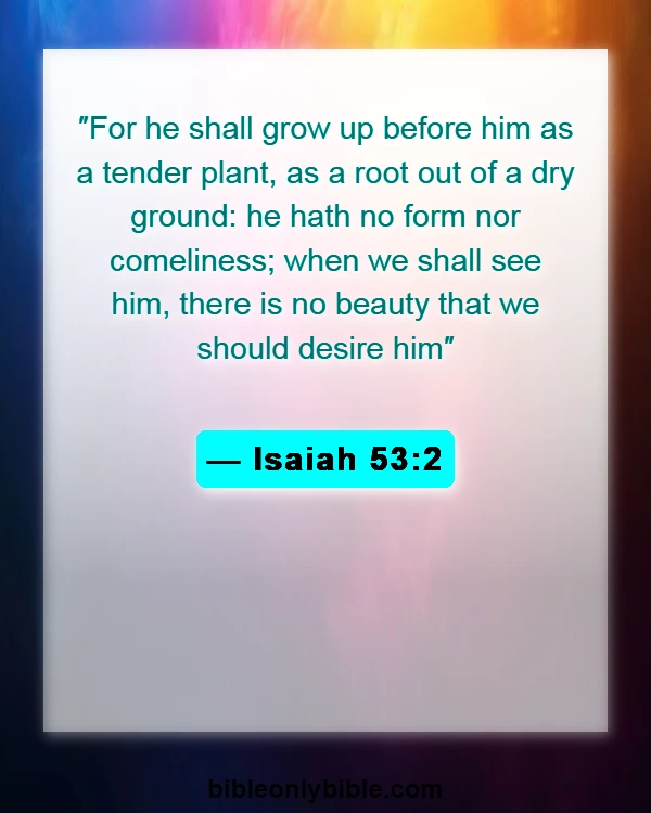 Bible Verses About Short (Isaiah 53:2)